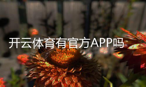 开云体育有官方APP吗?真相揭晓:官方下载入口、iOS安卓安装与使用安全指南