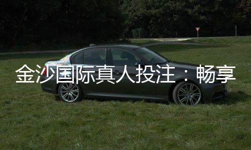金沙国际真人投注：畅享高端娱乐体验的终极选择