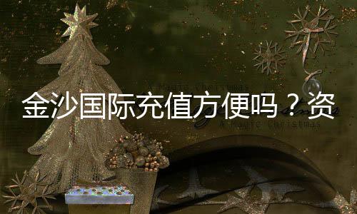 金沙国际充值方便吗？资深玩家分享快速到账技巧与心得