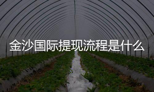 金沙国际提现流程是什么？详细步骤与到账时间解析