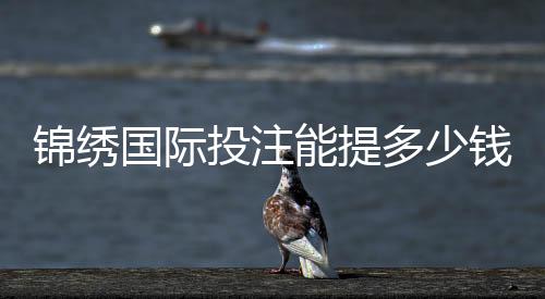 锦绣国际投注能提多少钱？揭开神秘面纱！