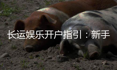 长运娱乐开户指引：新手必看的详细注册流程与技巧
