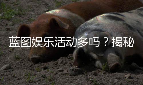 蓝图娱乐活动多吗？揭秘平台丰富玩法与特色活动
