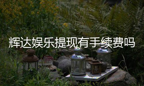 辉达娱乐提现有手续费吗？手续费标准及到账时间详解