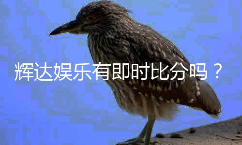 辉达娱乐有即时比分吗？一文详解比分查询与玩法攻略