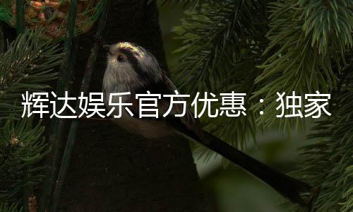 辉达娱乐官方优惠:独家福利与高额返水等你来拿
