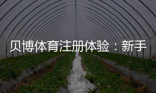贝博体育注册体验：新手注册流程、优惠领取与安全性全面评测