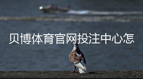 贝博体育官网投注中心怎么玩？新手注册、充值与常见玩法全面攻略