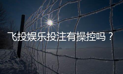 飞投娱乐投注有操控吗？深度解析平台公平性与防作弊机制