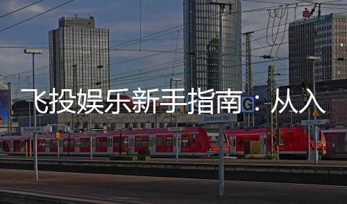 飞投娱乐新手指南：从入门到精通的实战技巧