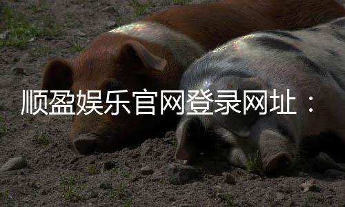 顺盈娱乐官网登录网址：畅享棋牌电游的顶级娱乐平台