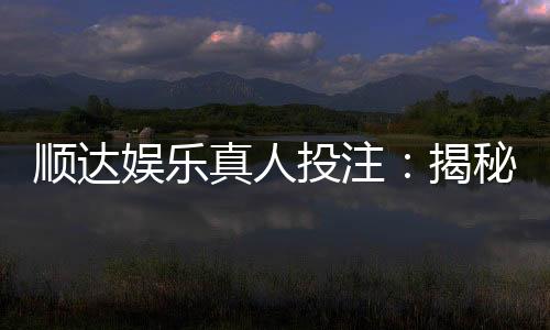 顺达娱乐真人投注：揭秘高胜率玩家的实战技巧与策略