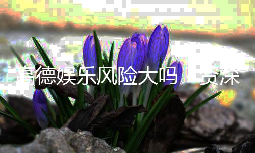 高德娱乐风险大吗？资深玩家揭秘真实体验与防坑指南
