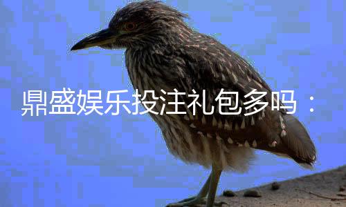 鼎盛娱乐投注礼包多吗：惊喜不容错过！