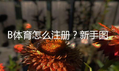 B体育怎么注册？新手图文注册流程及常见问题解答