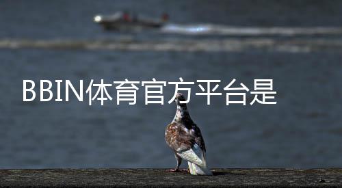 BBIN体育官方平台是什么？新手注册、存取款与玩法安全详解