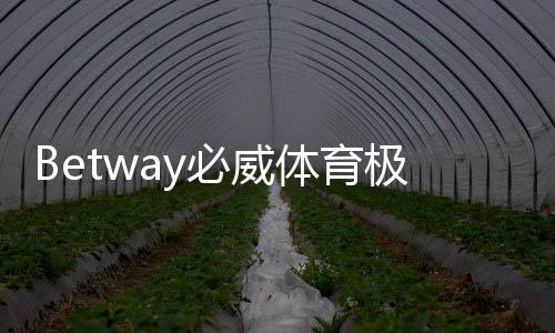 Betway必威体育极速注册怎么做?新手快速开户全流程、步骤与安全注意事项
