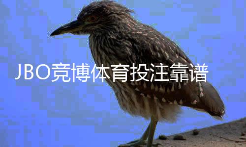 JBO竞博体育投注靠谱吗?真实评测、合法性与提款速度安全性全面解析