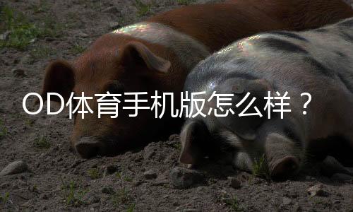 OD体育手机版怎么样？全面评测、优缺点与下载使用指南