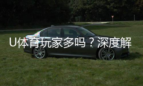 U体育玩家多吗？深度解析平台人气与玩家真实体验