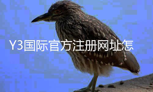 Y3国际官方注册网址怎么注册？最新版注册流程与安全验证全攻略