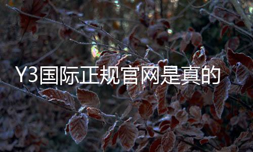 Y3国际正规官网是真的吗？官网入口、注册登录与安全辨别全攻略