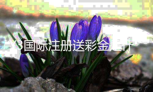 Y3国际注册送彩金是什么？新手领取步骤、优惠规则与注意事项全解析
