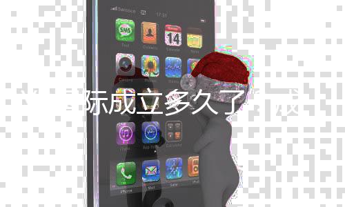 Y3国际成立多久了？成立时间、发展历程与可靠性全面解析