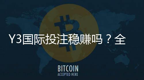 Y3国际投注稳赚吗？全面评测、风险解析与新手避坑指南