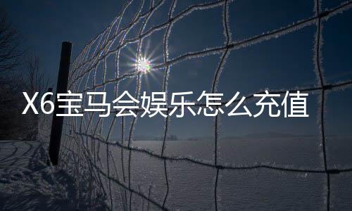 X6宝马会娱乐怎么充值？详细充值步骤与优惠活动解析