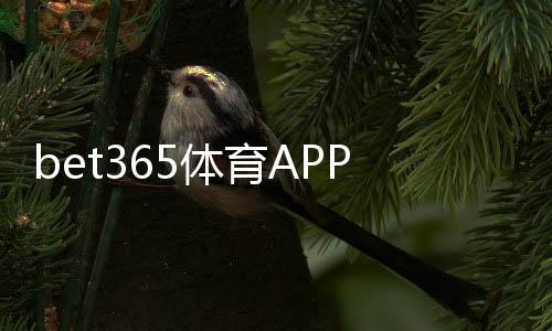bet365体育APP登录指南：下载、注册、快速登录步骤与常见问题排查