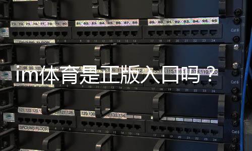 im体育是正版入口吗?资深玩家揭秘平台安全性与游戏体验