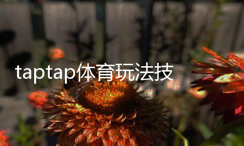 taptap体育玩法技巧：新手入门与进阶实战攻略